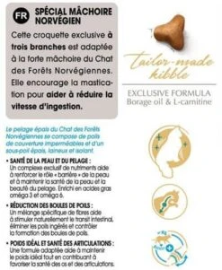 Royal Canin Chat Norvégien Adult 10 Kg -Animalerie norv ad information 1