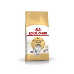 Royal Canin Chat Norvégien Adult 10 Kg