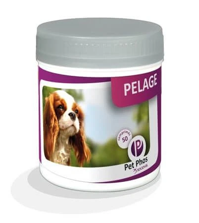 Pet Phos Pelage Chien 50 Cp 3 Pet Phos Pelage Chien 50 Cp