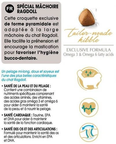 Royal Canin Chat Adult Ragdoll 2 Kg 6 Royal Canin Chat Adult Ragdoll 2 Kg – Image 4