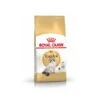 Royal Canin Chat Adult Ragdoll 2 Kg