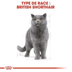 Royal Canin British Shorthair Adult 2 Kg -Animalerie royal canin british shorthair adult 2 kg 2