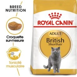Royal Canin British Shorthair Adult 2 Kg -Animalerie royal canin british shorthair adult 2 kg