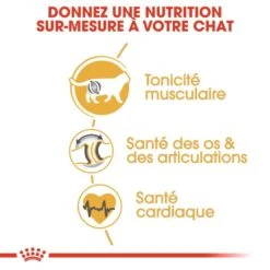 Royal Canin British Shorthair Adult 2 Kg -Animalerie royal canin british shorthair adult 2 kg 4