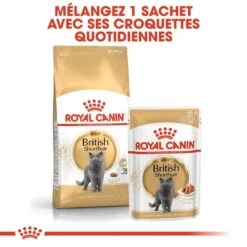 Royal Canin British Shorthair Adult 2 Kg -Animalerie royal canin british shorthair adult 2 kg 5