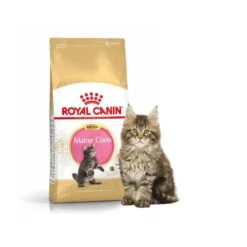 Royal Canin Maine Coon Kitten 4 Kg 9 Royal Canin Maine Coon Kitten 4 Kg -Animalerie royal canin mc kit 1
