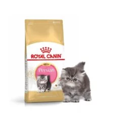 Royal Canin Persian Kitten 2 Kg -Animalerie royal canin pers kit