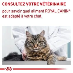 Royal Canin Vet Chat Mature Consult 12 X 85 G -Animalerie royal canin vet chat mature consult 12 x 85 g 8