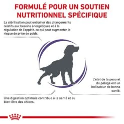 Royal Canin Veterinary Neutered Adult Dog 9 Kg -Animalerie royal canin veterinary neutered adult dog 9 kg 2