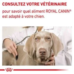 Royal Canin Veterinary Neutered Adult Dog 9 Kg -Animalerie royal canin veterinary neutered adult dog 9 kg 8