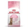Royal Canin Feline Health Nutrition Kitten Sterilised 3,5 Kg -Animalerie royal canin feline health nutrition kitten sterilised 9 1