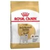 Royal Canin Jack Russell Adult 3 Kg -Animalerie royal canin jack russel adult la compagnie des animaux