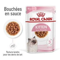 Royal Canin Kitten En Sauce 12 X 85 Grs -Animalerie royal canin kitten en sauce 2