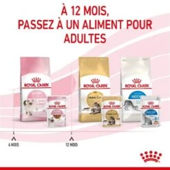Royal Canin Kitten En Sauce 12 X 85 Grs -Animalerie royal canin kitten en sauce 3