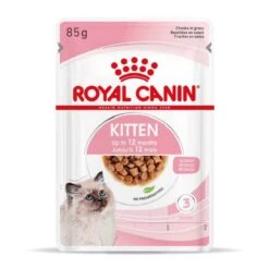 Royal Canin Kitten En Sauce 12 X 85 Grs -Animalerie royal canin kitten en sauce 4