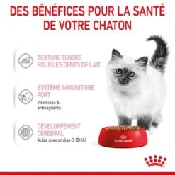 Royal Canin Kitten En Sauce 12 X 85 Grs -Animalerie royal canin kitten en sauce 8