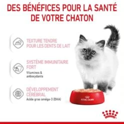 Royal Canin Kitten Sachet En Mousse 12 X 85 G -Animalerie royal canin kitten sachet en mousse 3