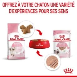 Royal Canin Kitten Sachet En Mousse 12 X 85 G -Animalerie royal canin kitten sachet en mousse 4