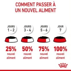 Royal Canin Kitten Sachet En Mousse 12 X 85 G -Animalerie royal canin kitten sachet en mousse 8