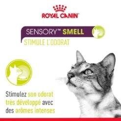 Royal Canin Sensory Smell En Gelée Pour Chat 12 X 85 G 9 Royal Canin Sensory Smell En Gelée Pour Chat 12 X 85 G -Animalerie royal canin sensory smell sauce pour chat 12 x 85 g 1 1
