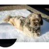 Tapis-Moquette Anti Escarres Pour Chien 70 X 90 Cm -Animalerie tapis mosquette 1 1