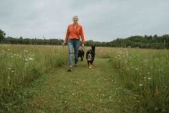 Tickless Human Vert à Pile 7 Tickless Human Vert à Pile -Animalerie tickless human vert pile3