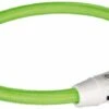 Trixie Collier Lumineux USB Flash Vert Chien L-XL -Animalerie trixie collier lumineux safer life usb flash vert pour chien l xl
