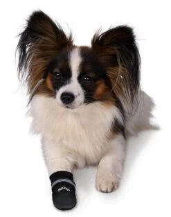 Trixie Bottes Protection Walker Care Confort XS X 2 7 Trixie Bottes Protection Walker Care Confort XS X 2 -Animalerie walker care 1