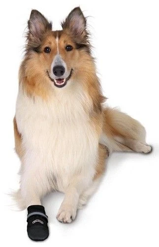 Trixie Bottes Protection Walker Care Confort XS X 2 6 Trixie Bottes Protection Walker Care Confort XS X 2 – Image 4