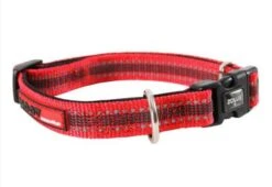 Zolux Collier Réglable MOOV Rouge 15 Mm