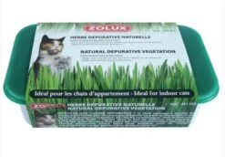 Zolux Herbe Dépurative Naturelle Pour Chat 250 G -Animalerie zolux herbe depurative naturelle pour chat 250 g3